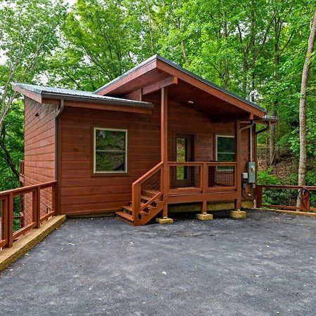 New Cozy Mountain Cabin Hot Tub Near Downtown Gatlinburg Extérieur photo
