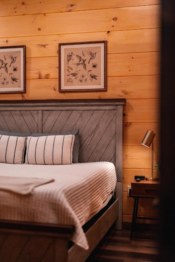 New Cozy Mountain Cabin Hot Tub Near Downtown Gatlinburg Extérieur photo